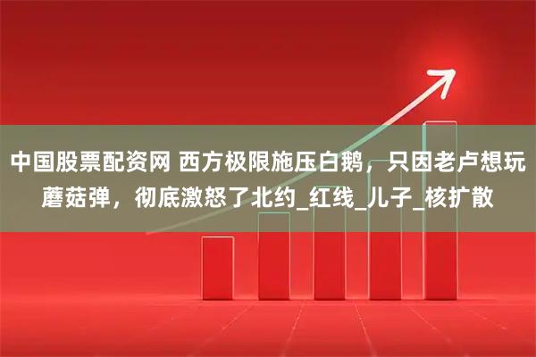 中国股票配资网 西方极限施压白鹅，只因老卢想玩蘑菇弹，彻底激怒了北约_红线_儿子_核扩散