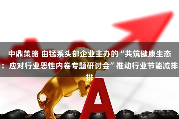 中鼎策略 由锰系头部企业主办的“共筑健康生态：应对行业恶性内卷专题研讨会”推动行业节能减排