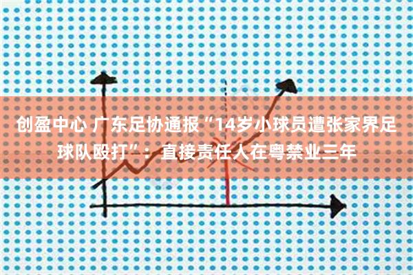 创盈中心 广东足协通报“14岁小球员遭张家界足球队殴打”：直接责任人在粤禁业三年