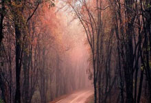 手机怎么做股票交易:股票网上开户佣金是多少-马斯克投资的飞行汽车在机场试运营 水平飞行可达177公里 214万元一辆 只能乘坐两人